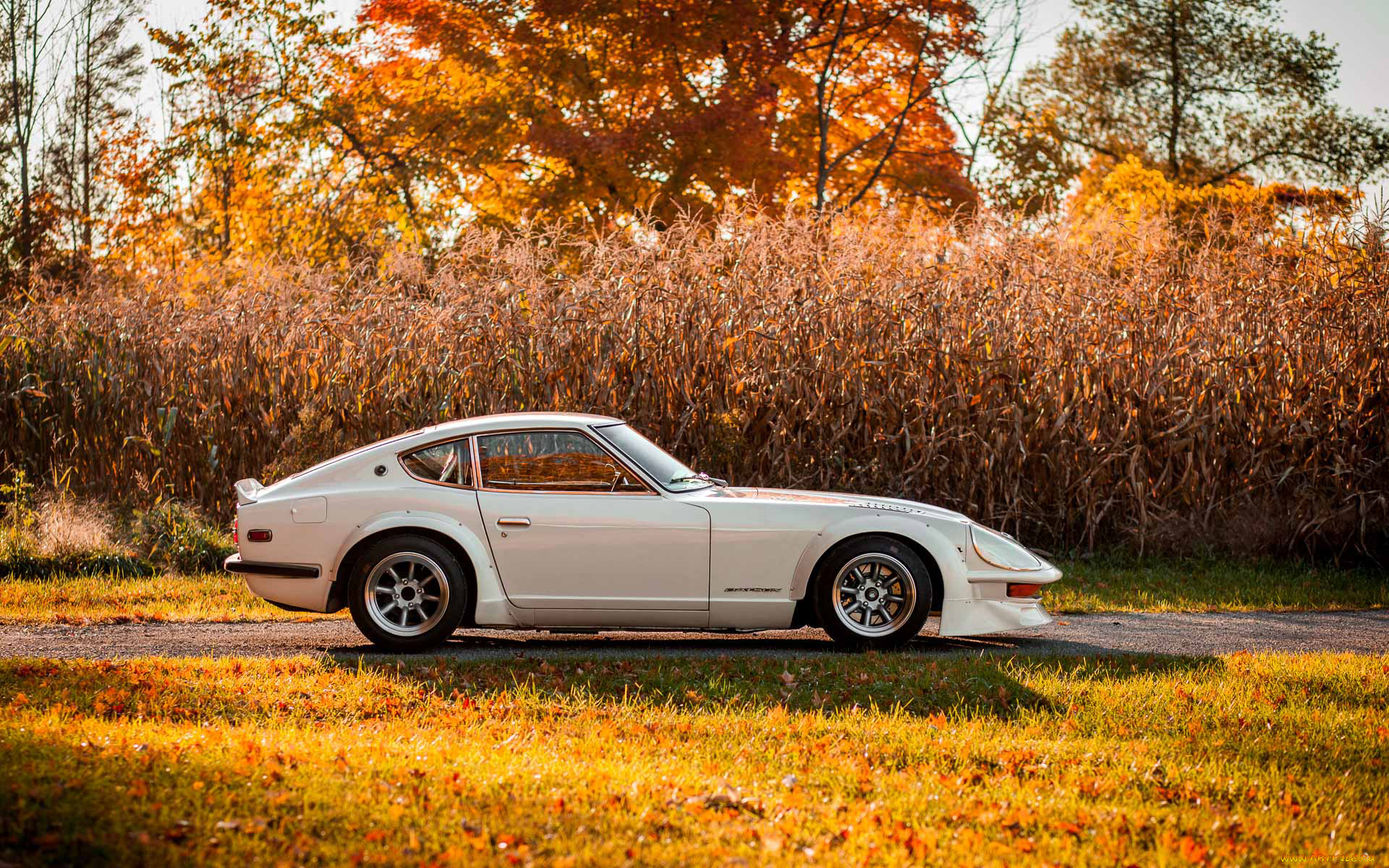 , nissan, datsun